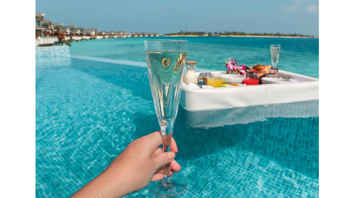 November – Transition Month